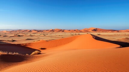 Panoramic view of vast Sahara Desert dunes under bright blue sky, Morocco