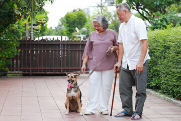 Asian senior couple walking their dog in front of their house. Pet concept. Keeping a dog helps improve the health of the elderly.