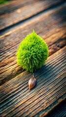 A close-up shot of a fresh green moss growing on a wooden surface with a single leaf emerging from it