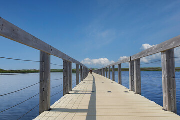 Wooden walkway on the lake in prince edward island Canada.