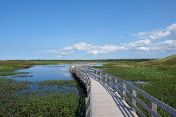 Obraz premium Wooden walkway on the lake in prince edward island Canada.