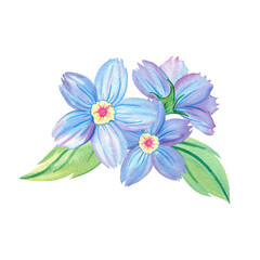 Forget-me-not flower, elegant bouquet, composition Myosotis, abstract fantasy blue flower, wildflower, herb, garden plant, botany, floral illustration. Hand drawn watercolor single isolated object