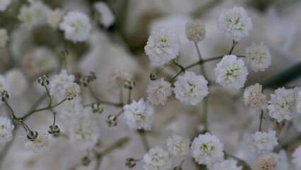 Wedding flowers