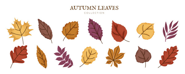 Obraz premium Fall Leaf Set with Grain. Autumn Leaves, Branch, Rowan, Foliage, Maple, Oak. Forest Decoration. Natural Design Elements Bundle. Botanical Floral Collection. Flat Vector Isolated on white Background.