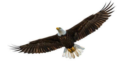 Naklejka premium Eagle Flying Freely in the Sky with Wings Spread Wide Open