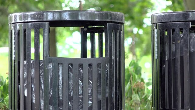 French fry collected out of trash can by squirrel 4k
