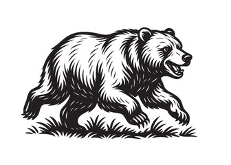 Black and white vector of a grizzly bear running through grass. Bold engraving lines in classic woodcut style. Perfect for logos, prints, or mascots. Wildlife Animals.