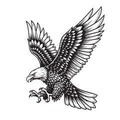 Detailed black and white eagle in landing pose with wings spread wide. Classic engraving style, ideal for prints, tattoos, logos, and vector stock. Bird, Animals.