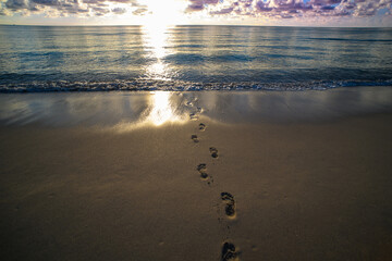 Sea sunset. Ocean beach background. Sea sunset water. Coast with sunset. Seascape at evening. Scenic sunset seascape at sea.