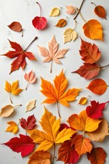 Obraz premium high quality, colorful autumn leaves creatively arranged in a flat lay, capturing the essence of the season