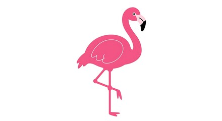 Standing Pink Flamingo Illustration on White Background