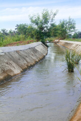Irrigation or water flow or water canals built along rice field areas which function to supply the...
