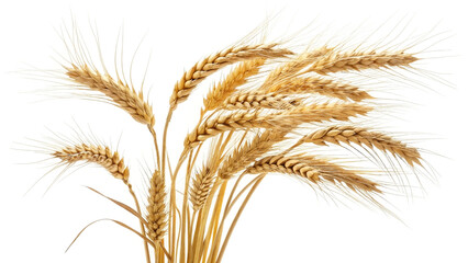 Golden Wheat Stalks A Harvest Bounty of Nature's Gold