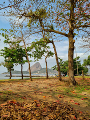 Sugar Loaf Mountain in Rio de Janeiro behind trees in a park