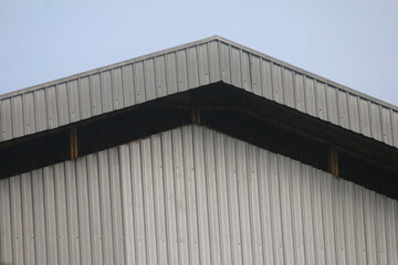 the towering roof of the building looks like it is sticking to the sky