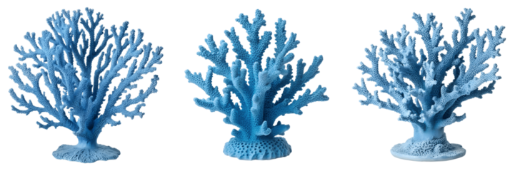 Set For Three blue coral decorations isolated on transparent background