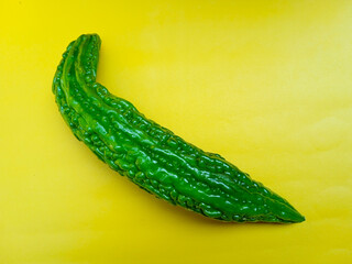 Fresh green bitter gourd or bitter melon isolated on yellow background.