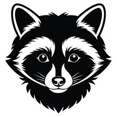 Black and white raccoon face shows its distinctive mask and bushy features clearly