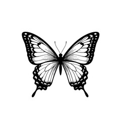 Fototapeta premium Butterfly art. Black sketches. Vector hand drawn illustration, butterfly silhoette simple Outline 