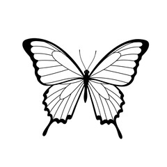Butterfly art. Black sketches. Vector hand drawn illustration, butterfly silhoette simple Outline 
