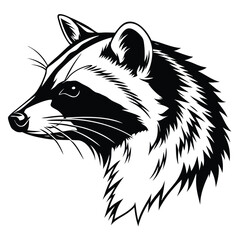 Striking monochrome raccoon portrait depicts detailed fur textures against a clean, white backdrop