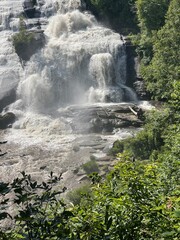 Obraz premium waterfall in the forest
