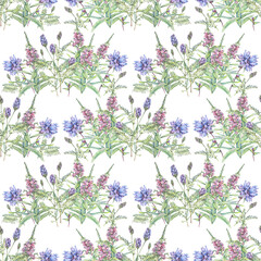 Watercolor seamless pattern with fireweed and blue bell flower on white background. Summer pink wildflower for wedding celebration card. Botanical meadow art for tea and wallpaper or health book