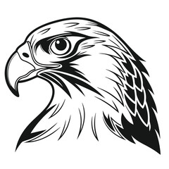 Striking monochrome drawing features an eagle's head shown in profile with detailed feathering