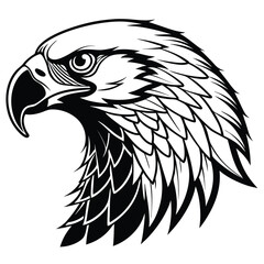 A majestic monochrome eagle stares intently ahead, showcasing its striking beak and fierce feathers