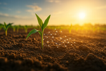 AI generated image of a young seedling growing from fertile soil under golden sunlight with digital network overlay representing data analysis IoT and smart agriculture for precise plant growth.