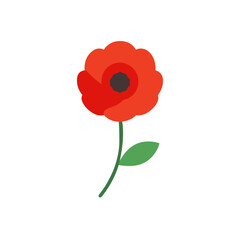 poppy on white background  .svg