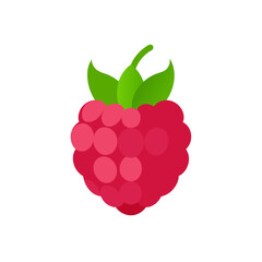 raspberry on white background  .svg