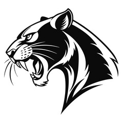 Fierce cougar roars powerfully in a black and white showing its sharp teeth