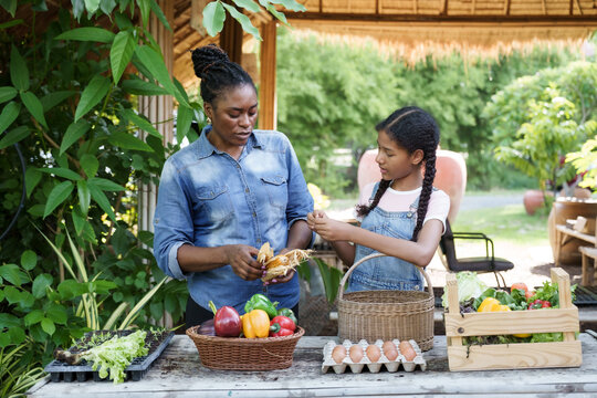 african woman and multiracial teenage girl preparing fresh corn together at outdoor table during organic farming education class with vegetables eggs and baskets showing learning through practice