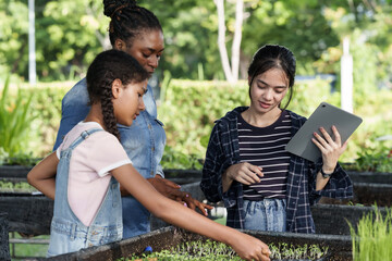 Diverse group of teenage students participating in outdoor organic farming education guided by teacher, observing vegetable growth and using tablet for hands-on agriculture learning experience