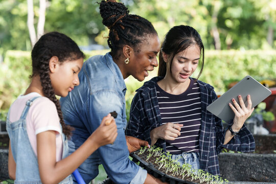 Teenage students of mixed ethnicity observing vegetable seedlings while learning organic farming with adult instructor in outdoor garden setting, using tablet for digital agricultural study