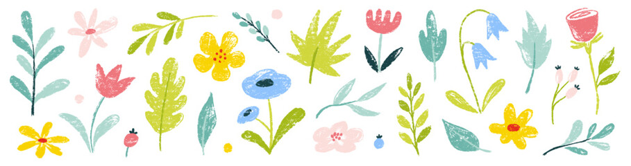 Flower crayon watercolor spring floral set. Hand drawn pastel crayon flower, leaf, plant with chalk texture. Cute nature background for kid, child, garden doodle element design. Vector illustration