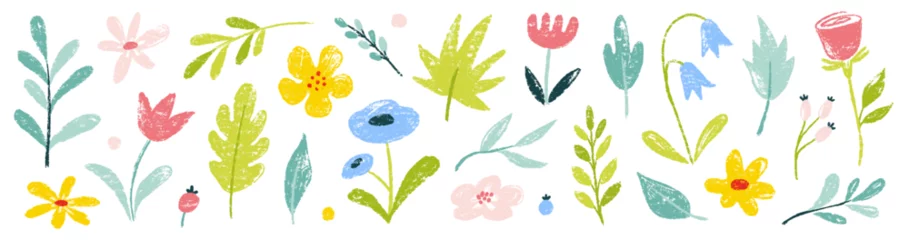 Fotobehang Flower crayon watercolor spring floral set. Hand drawn pastel crayon flower, leaf, plant with chalk texture. Cute nature background for kid, child, garden doodle element design. Vector illustration © Polina Tomtosova