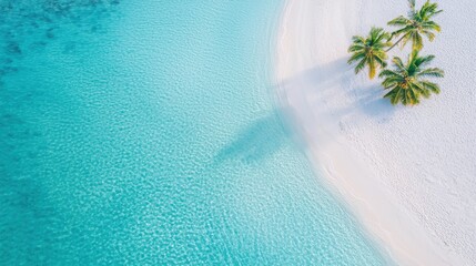 Aerial view of a pristine white sandy beach with clear turquoise water and a small cluster of palm trees casting shadows.