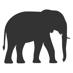 Fototapeta premium elephant silhouette isolated on white