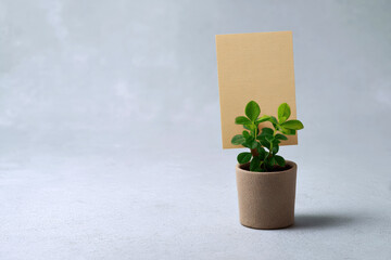 Small Green Plant Growing in Brown Cardboard Box on Beige Background.
