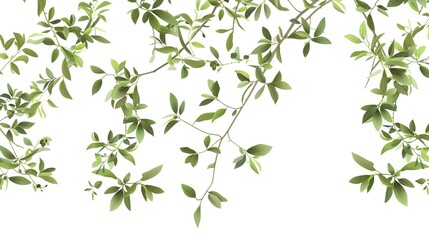 An olive branch adorned with lush green leaves is beautifully isolated on a clean white background, a symbol of peace and tranquility created by generative AI. The fresh and vibrant leaves enhance the
