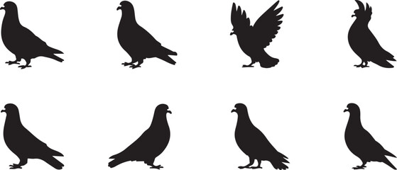 Silhouette of a pigeon eating birdseed.