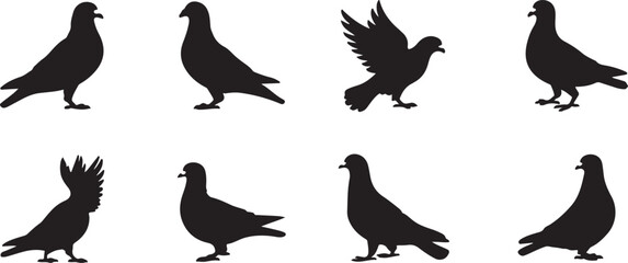 Silhouette of a pigeon eating birdseed.