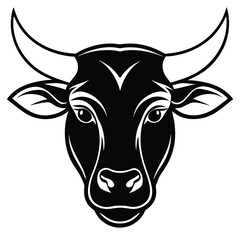 Front view of a black and white bull head looks bold and fierce