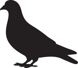 Silhouette of a pigeon eating birdseed.