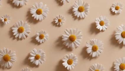 Fototapeta premium Daisies Pattern on Beige Background, Symbolizing Purity and Simplicity for Wellness and Springtime Marketing Campaigns : Generative AI