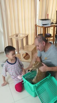 Father and son play and take care of a cat together.
