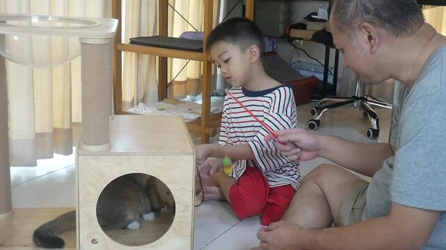 Father and son play and take care of a cat together.