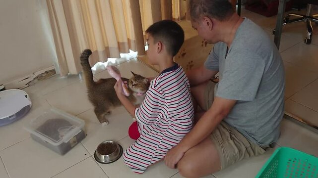 Father and son play and take care of a cat together.